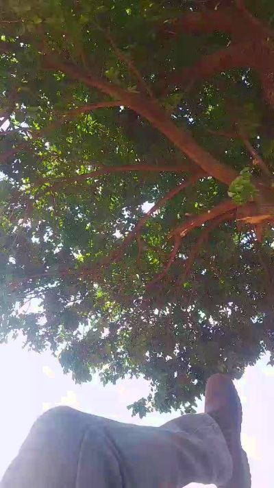 CastroDotad Live Image