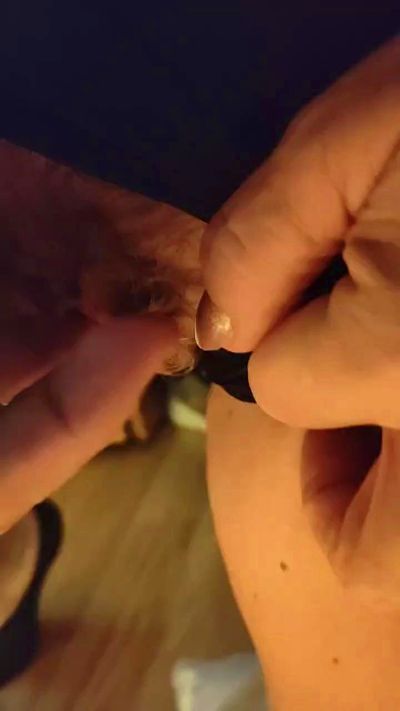 ClaudiaCarlo75
