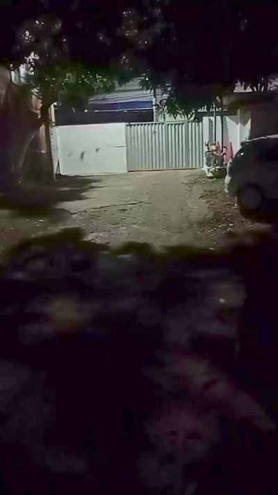 Frajuni Live Image