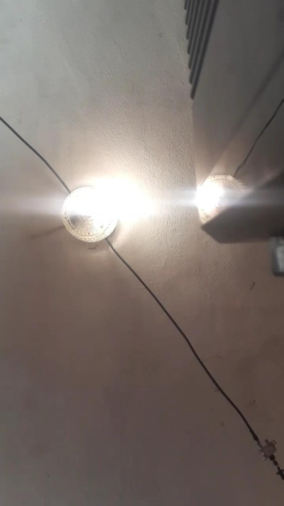 Morochodotadobb Live Image