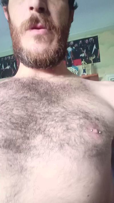 Sigaz88 Live Image