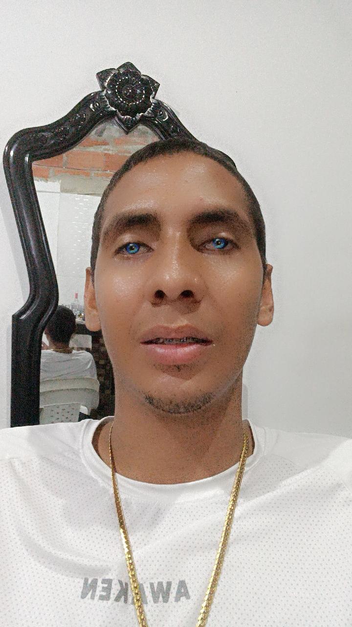 Wilses_Carpeex Live Image