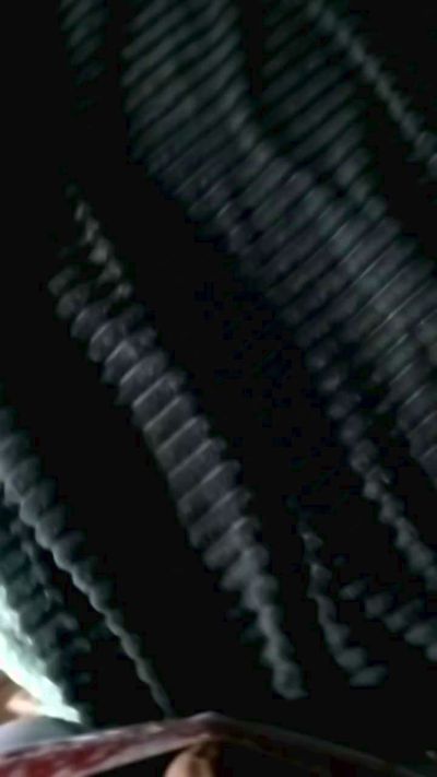 fabio2453 Live Image