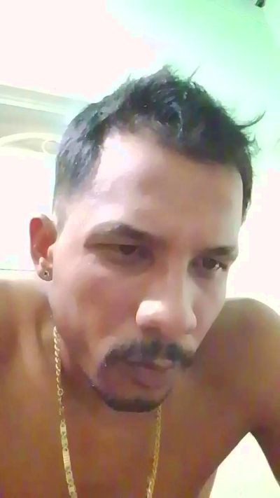 interhogar Live Image