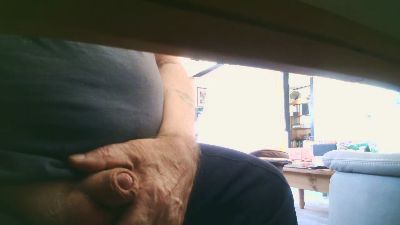 legov4 Live Image