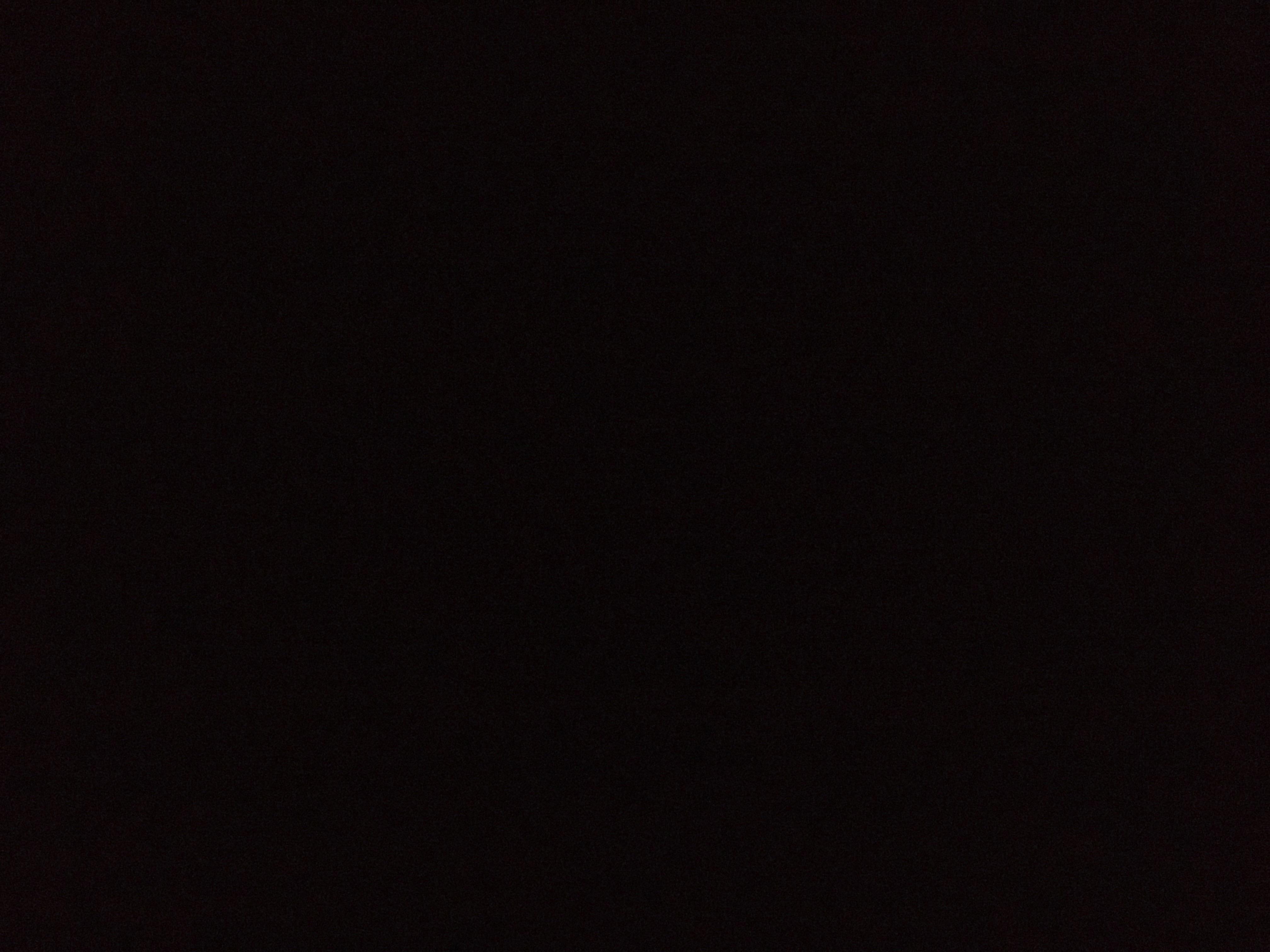 loewesu Live Image