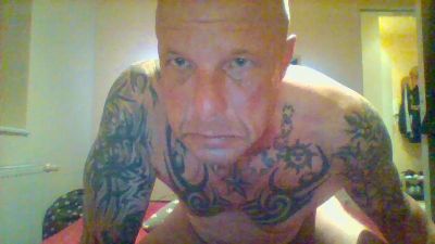 novarton2 Live Image