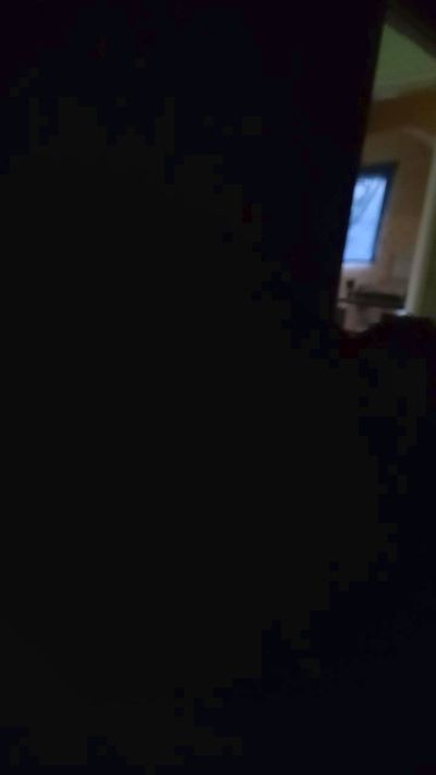 pikadoce22 Live Image