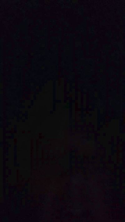 poli191 Live Image