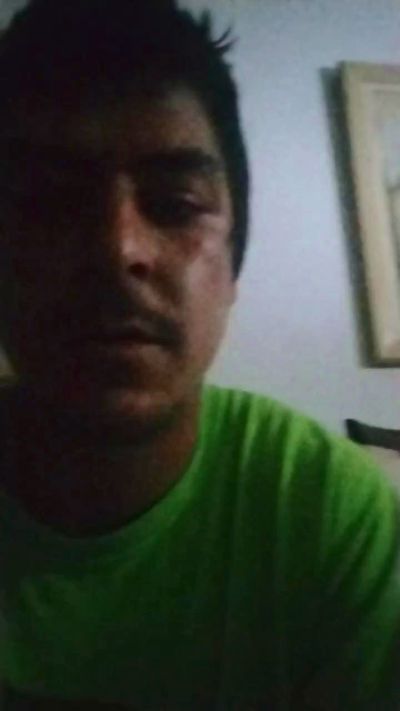 roratinho Live Image