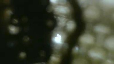 sweetsx24 Live Image