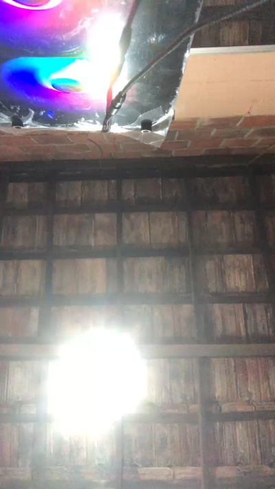 22_gabriely live from Brazil