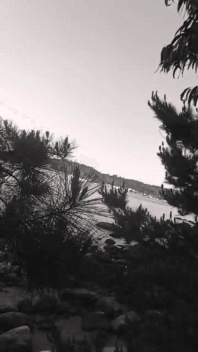 Chasconely live from Chile