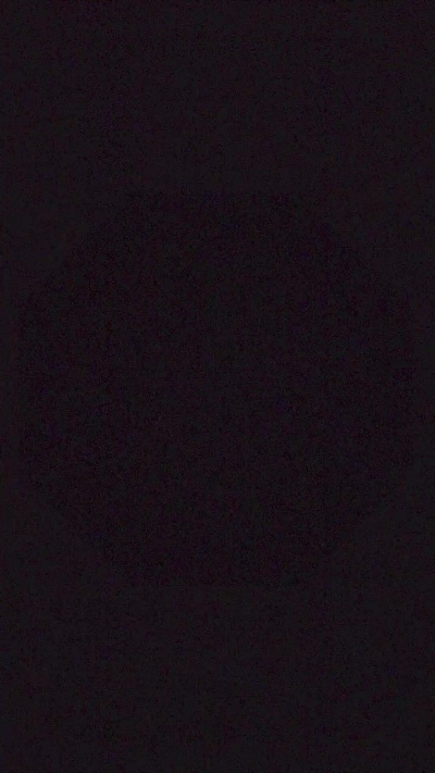 LilDick_BigShot live from United States