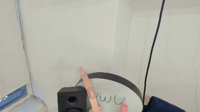 Littlebunnyyyy live from Argentina