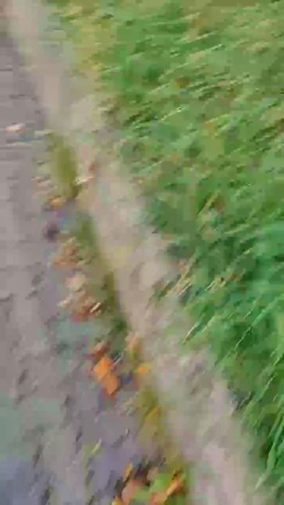 ichEnzian76 live from Germany