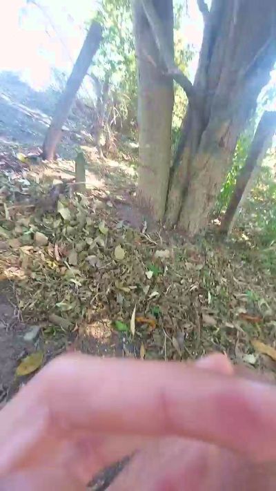 jao_magrao live from Brazil
