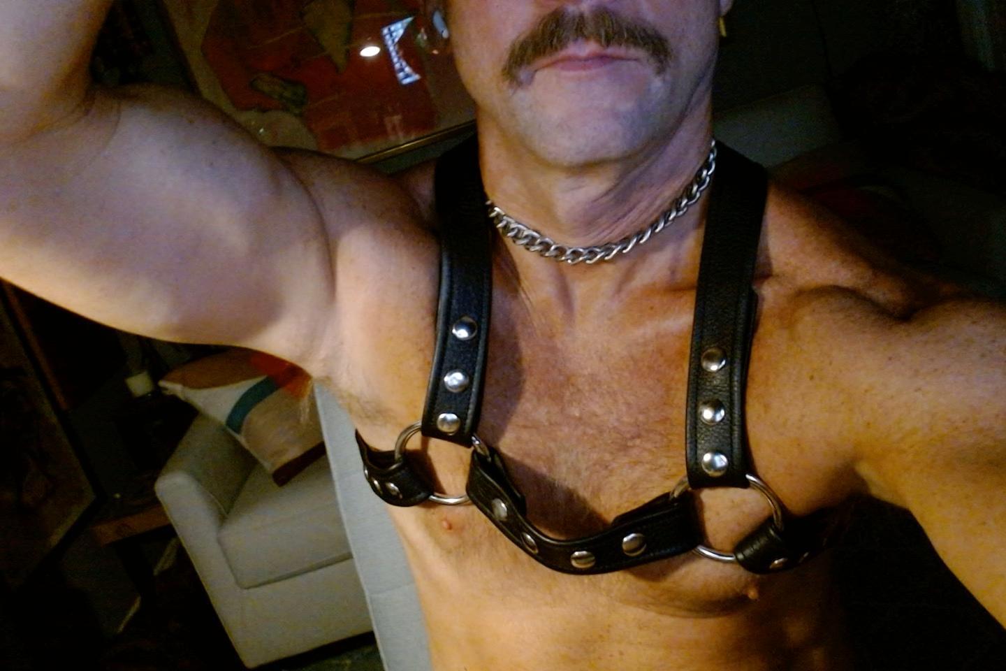 seatex live from United States